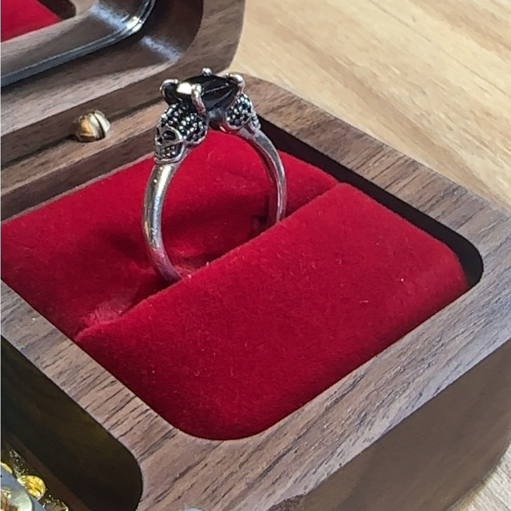 Silver Ring with Black Accents